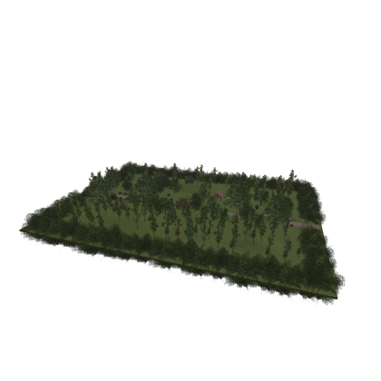 🌟 [UPDATED] Forest Trees Adventure Wild