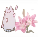 Nom ;-;