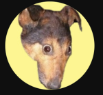 Holy Banana Fan Group