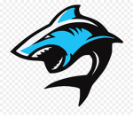 Shark Killers!
