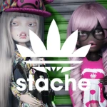 STACHE Group Thumbnail