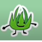grassy fan group