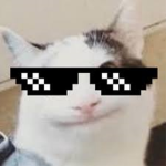 COOL R1S3Z