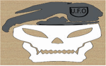 U.F.O-United Fighting Organization