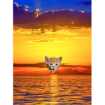 Kitten Studios™