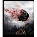 Black sad girl rose 123