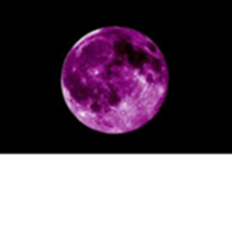 Purple People Hangout