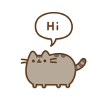 PUSHEEN THE CAT!!!