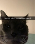 Dmrabbit boi