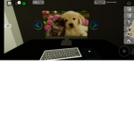 CYARA
