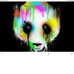 Pandacoolgroup