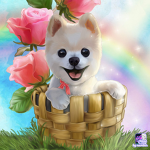 Dogs are amazing!!!!!!!!!!!!