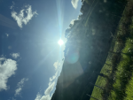 bellna’vi
