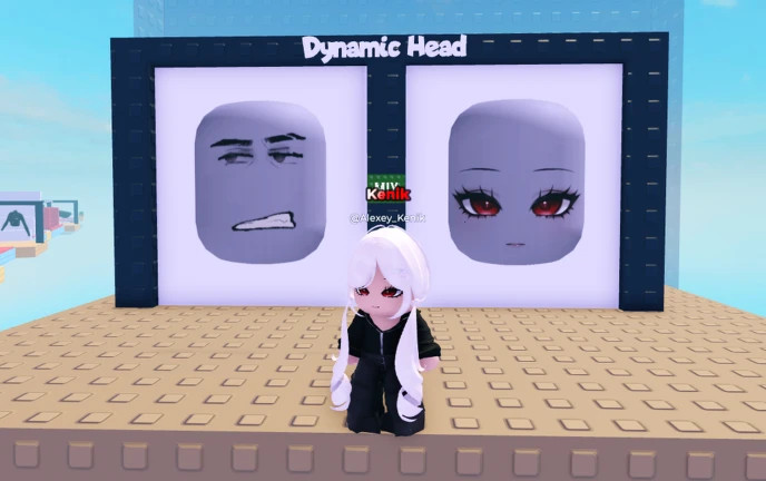 Dynamic Heads