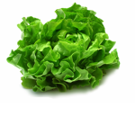 We support lettuce!