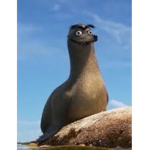 kool seals