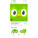 DUOLINGO ARMYY