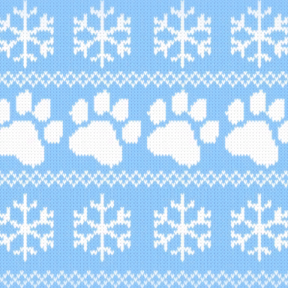 Blue Cat Christmas Sweater Paws