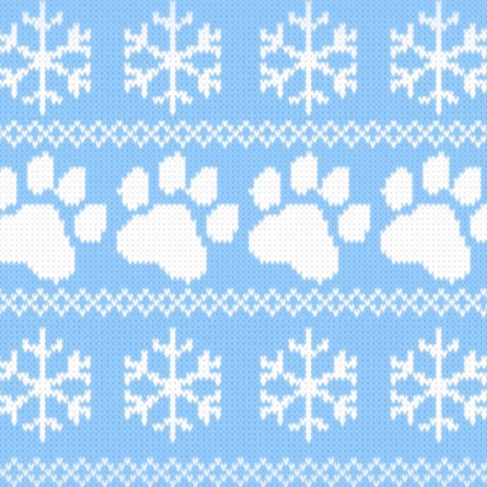 Blue Cat Christmas Sweater Paws