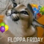 VR floppa