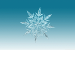 iced out clothing group