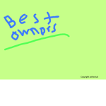 BEST OWNERS