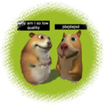 Chomik