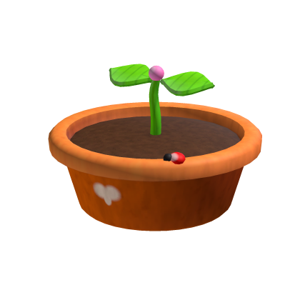 Sprouting Terracotta Pot Hat