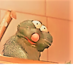 Animal crossing new horizons roblox