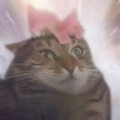 cute cat meme Roblox decal