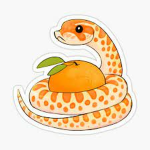 Citrus Snake Productions