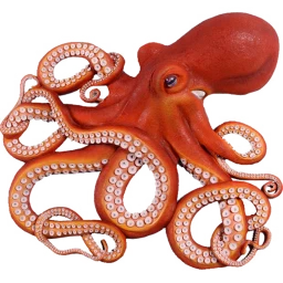 Giant pacific octopus icon