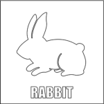 Rabbit Studio