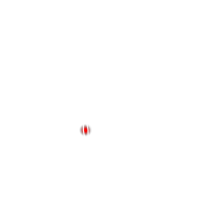 The Wings