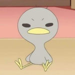 잠옷 상점