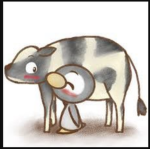 Cow and Penguin