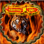 Flaming Tigres