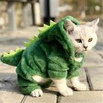 Dinoisbest