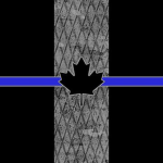 CANADIAN ARMED S.W.A.TS