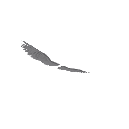 Angel Wings