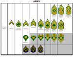 Phinox operation company