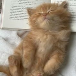 <3