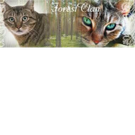 forsetclan