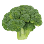 The Little Broccolis