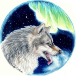 Wolfs and dogs!!!
