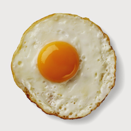 WONDERLEGG