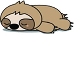 playfull sloth