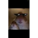 Doratherat