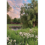 Dove's boutique x