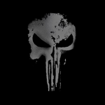 | THE SHADOW DIVISION DYNASTY |
